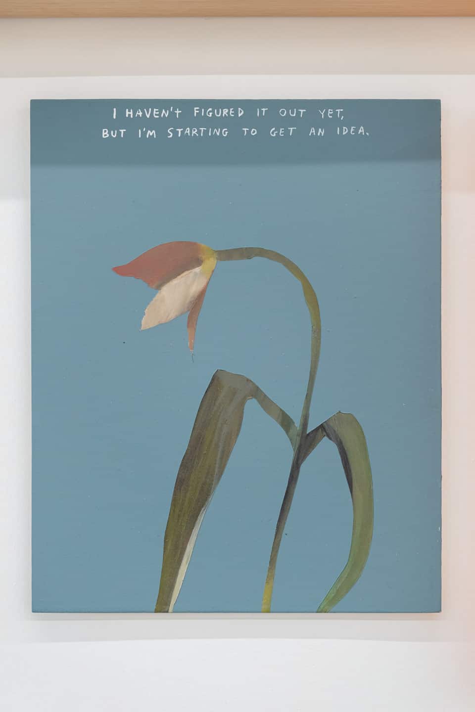 Giving Entry at NAMARA projects